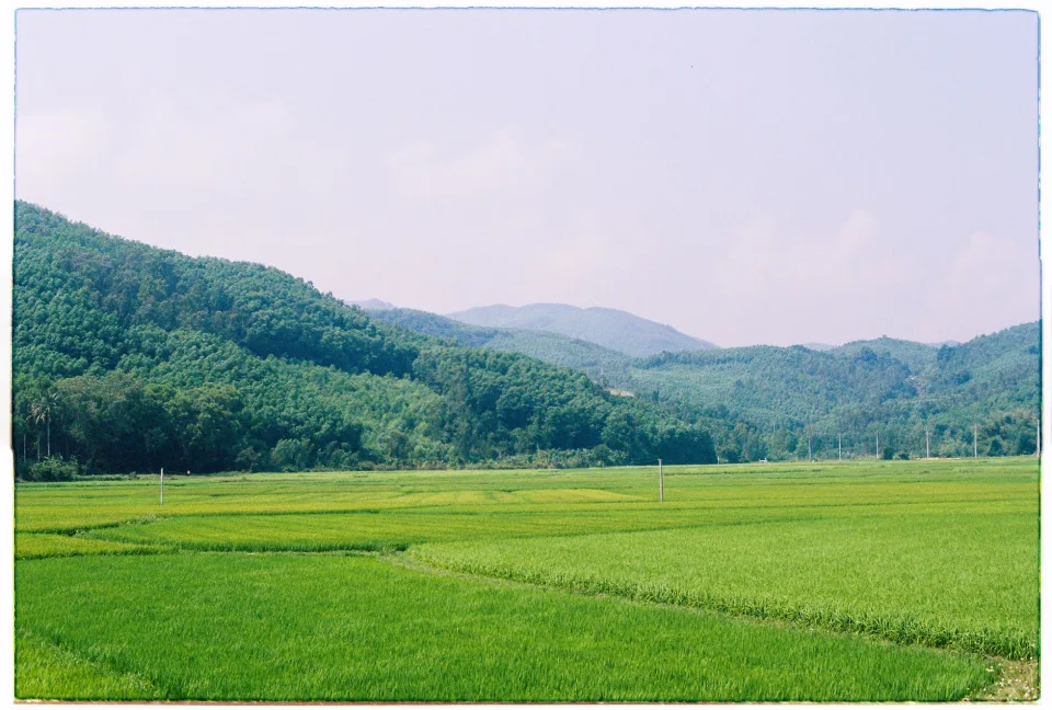 Kho gạo của Nguyễn Đức Trung